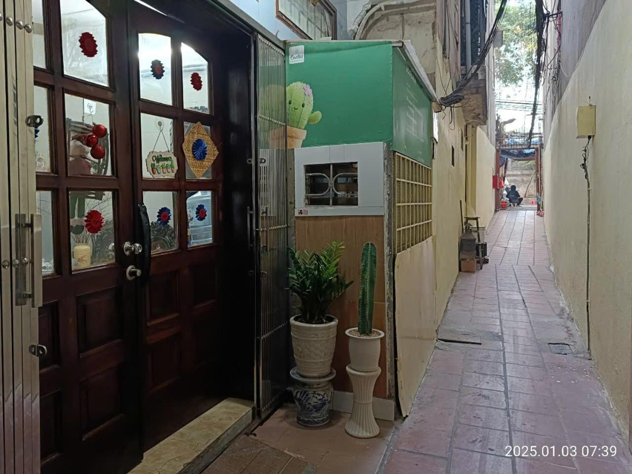 Cactus 2 3*